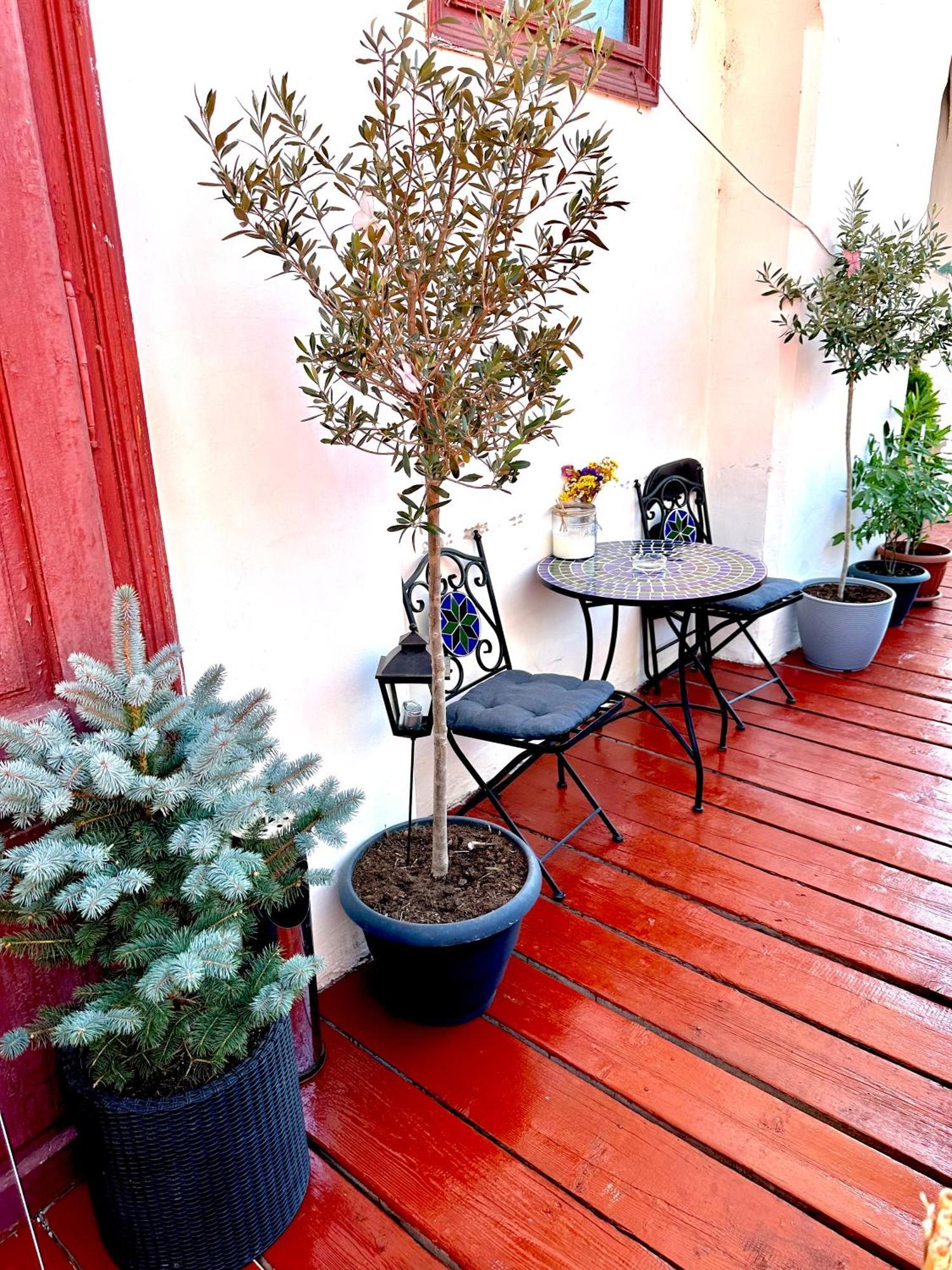 Deyinn Guest House Centrum Turda Ngoại thất bức ảnh